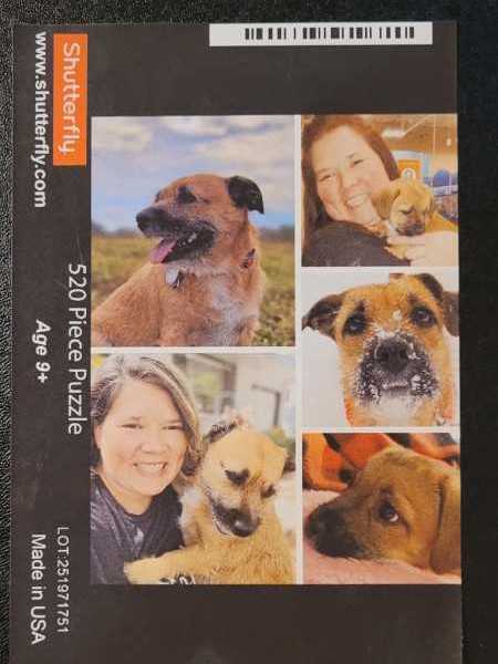 Balloon Launch (BAV)