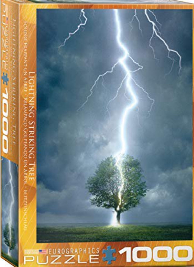 Upstairs To Magic Land