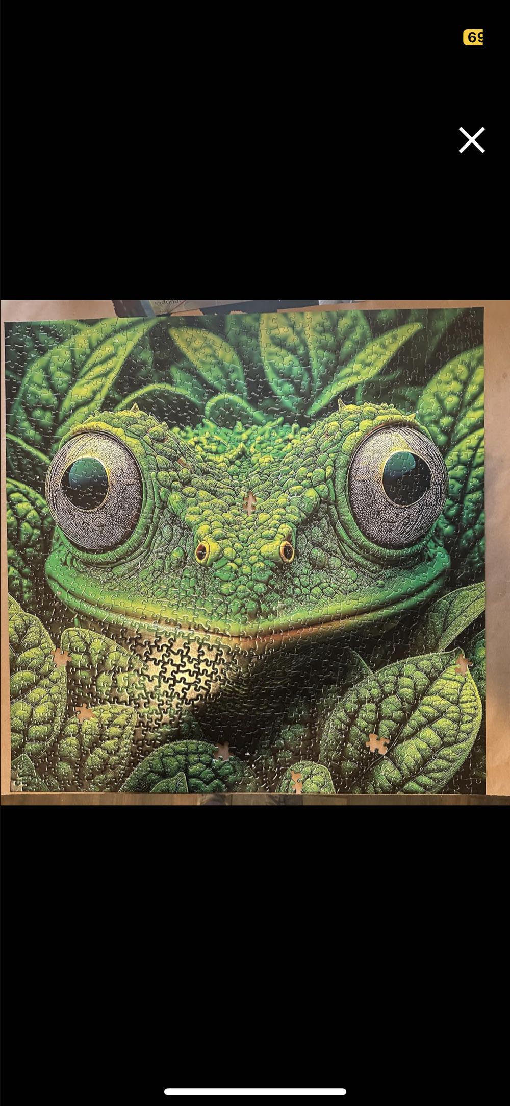 NFL Kansas City Chiefs Center View Panoramic  puzzle collectible [Barcode 705988914157] - Main Image 2