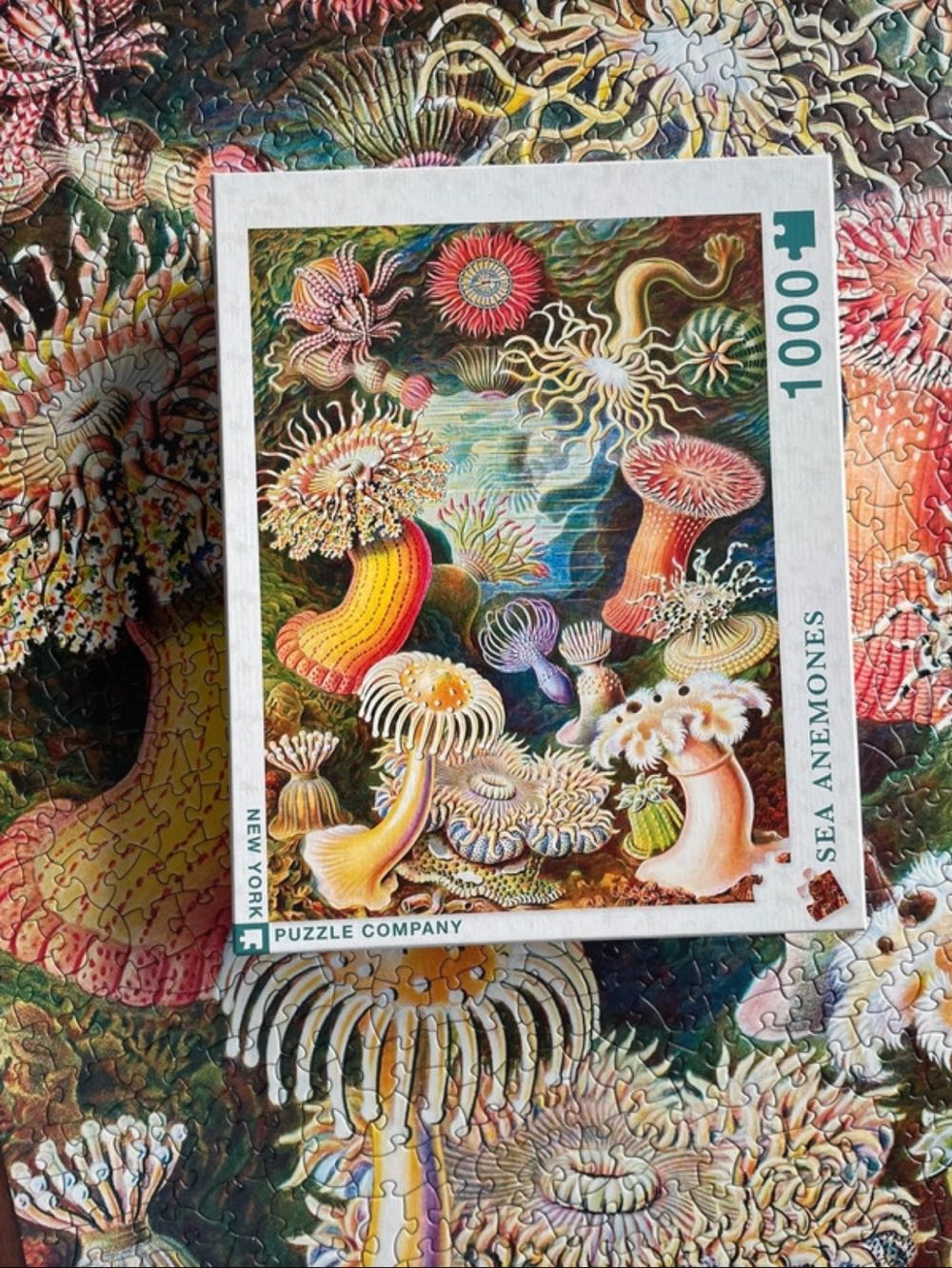 Sea Anemones - New York Puzzle Company puzzle collectible [Barcode 0819844015534] - Main Image 4