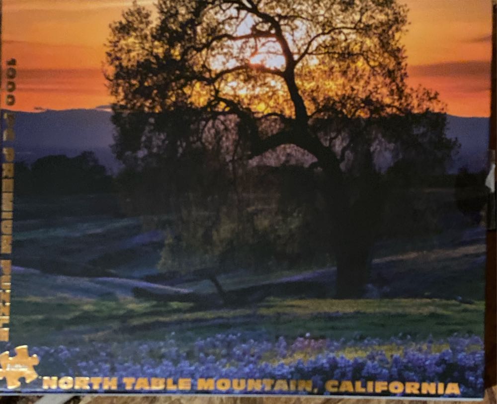 Prairie Wind Flowers