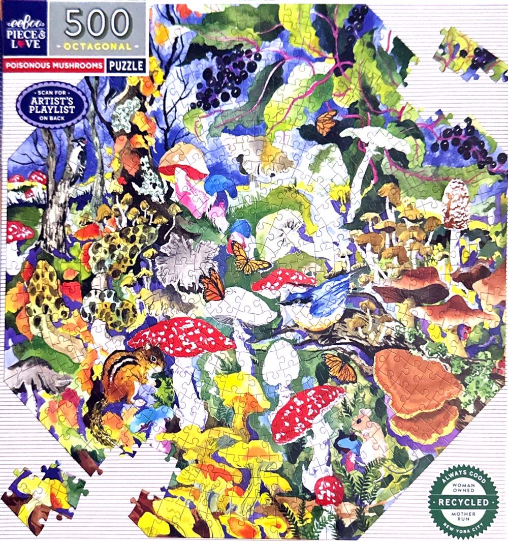 Tree House Adventure.  Cheryl.  Loan 