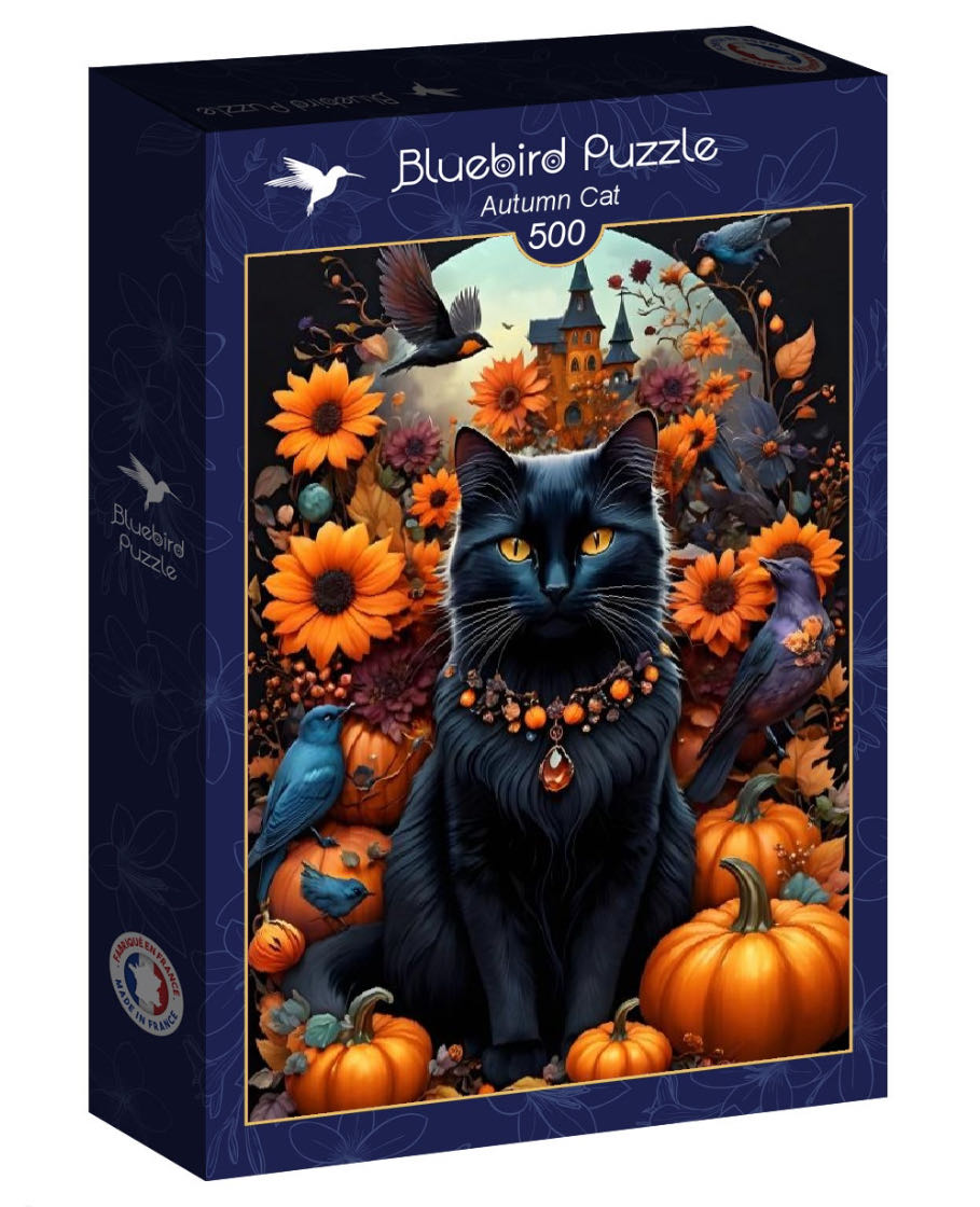 Decepticons Transformers