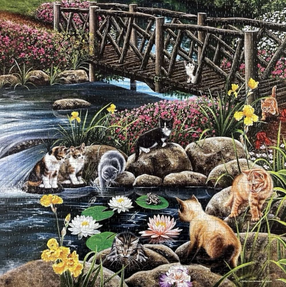 Cat Crossing (Agnes € 6,02) FOTO Scannen - SunsOut puzzle collectible - Main Image 3