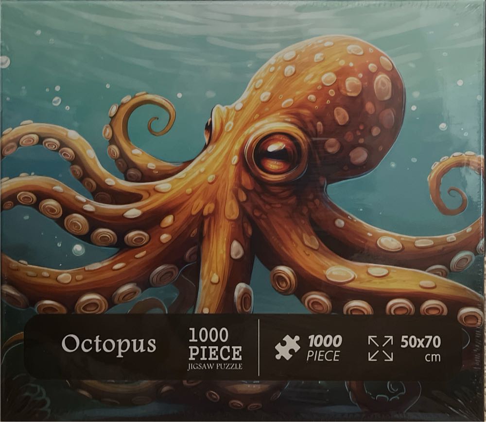 Skateboarden in de bowl