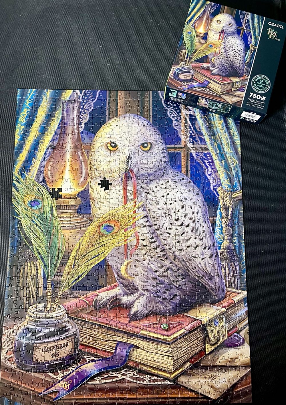 Guardian Of Spells - Ceaco puzzle collectible [Barcode 021081110488] - Main Image 2