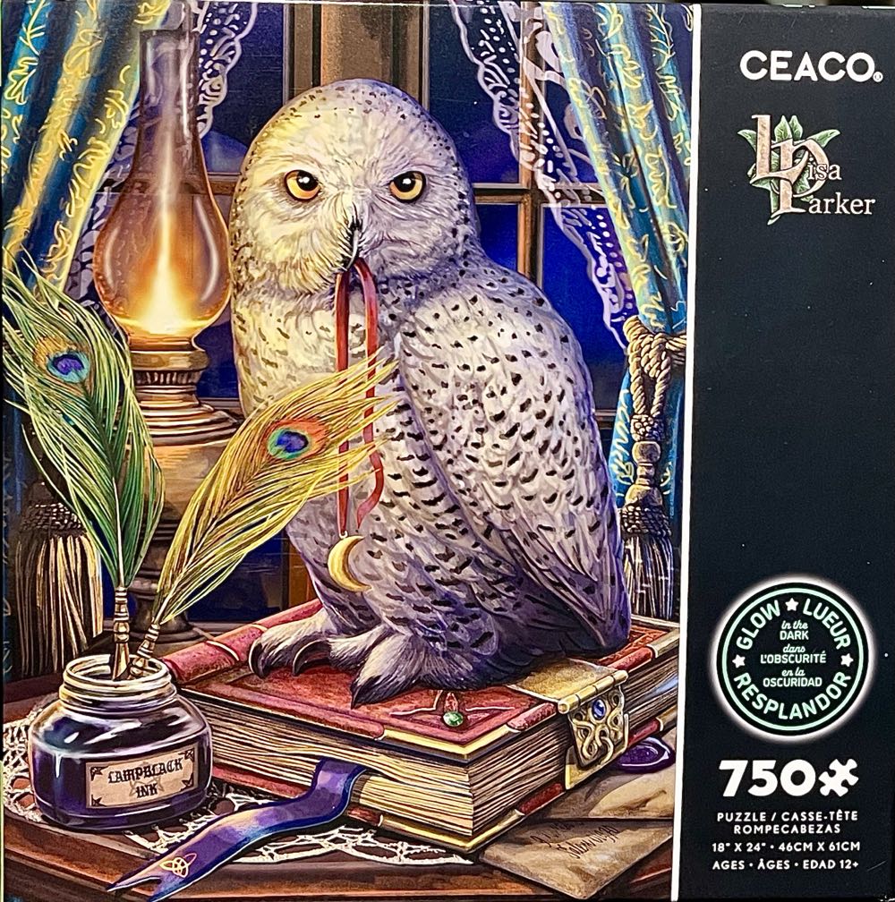 Guardian Of Spells - Ceaco puzzle collectible [Barcode 021081110488] - Main Image 3