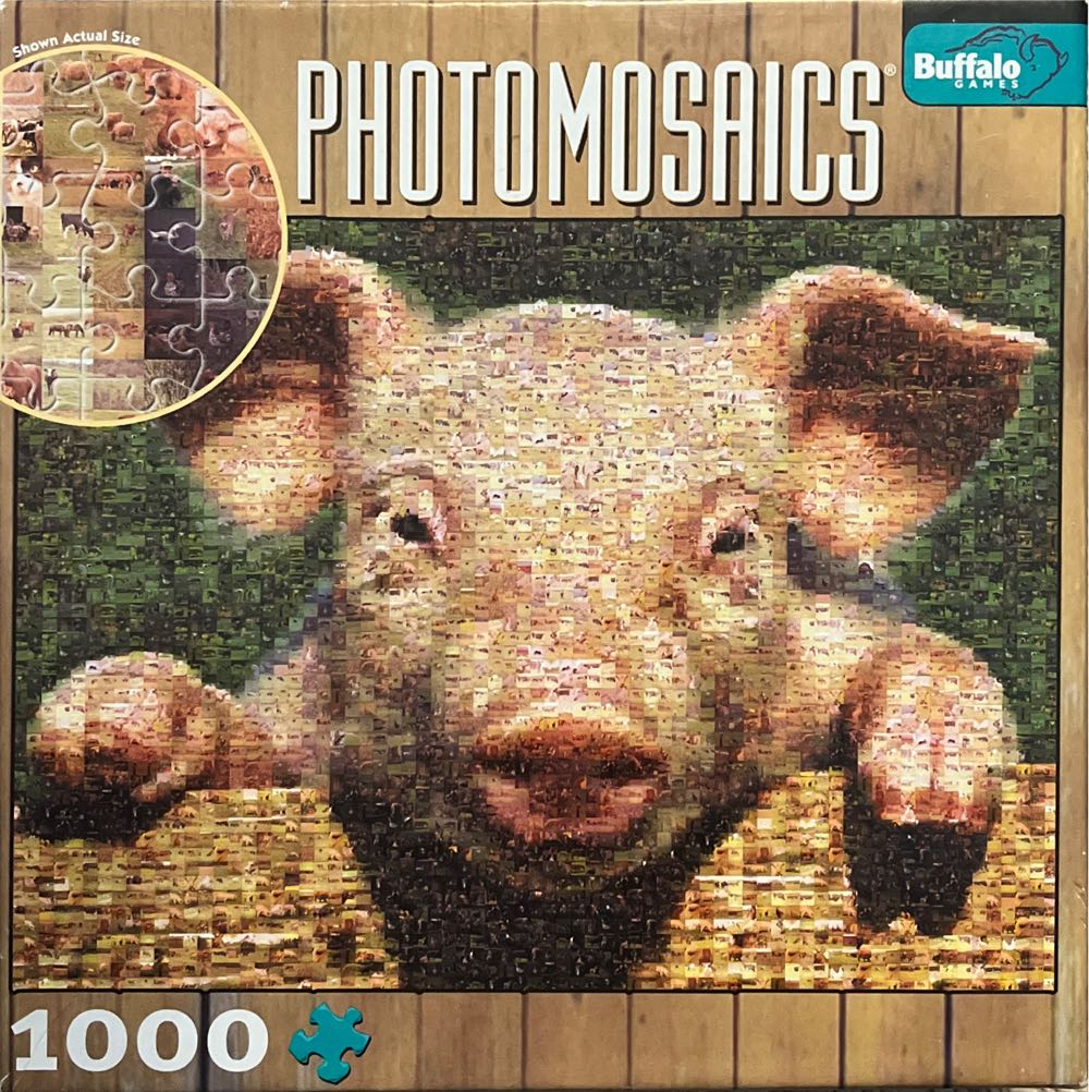 Alphabet And Shape Puzzle