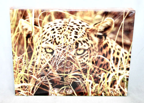 Aimee : Vintage Garden