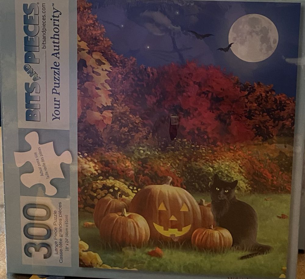 Midnight - Bits And Pieces puzzle collectible [Barcode 192949033840] - Main Image 2