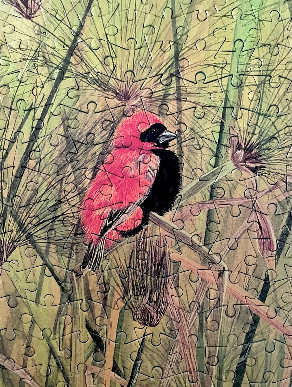 Great White Egret - Smile 😊 🇿🇦 puzzle collectible [Barcode 6002931001846] - Main Image 4