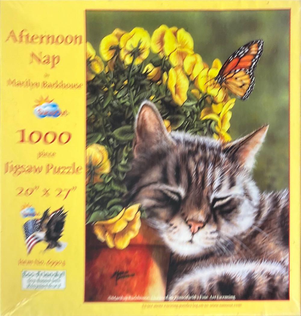 Beautiful Rainforest