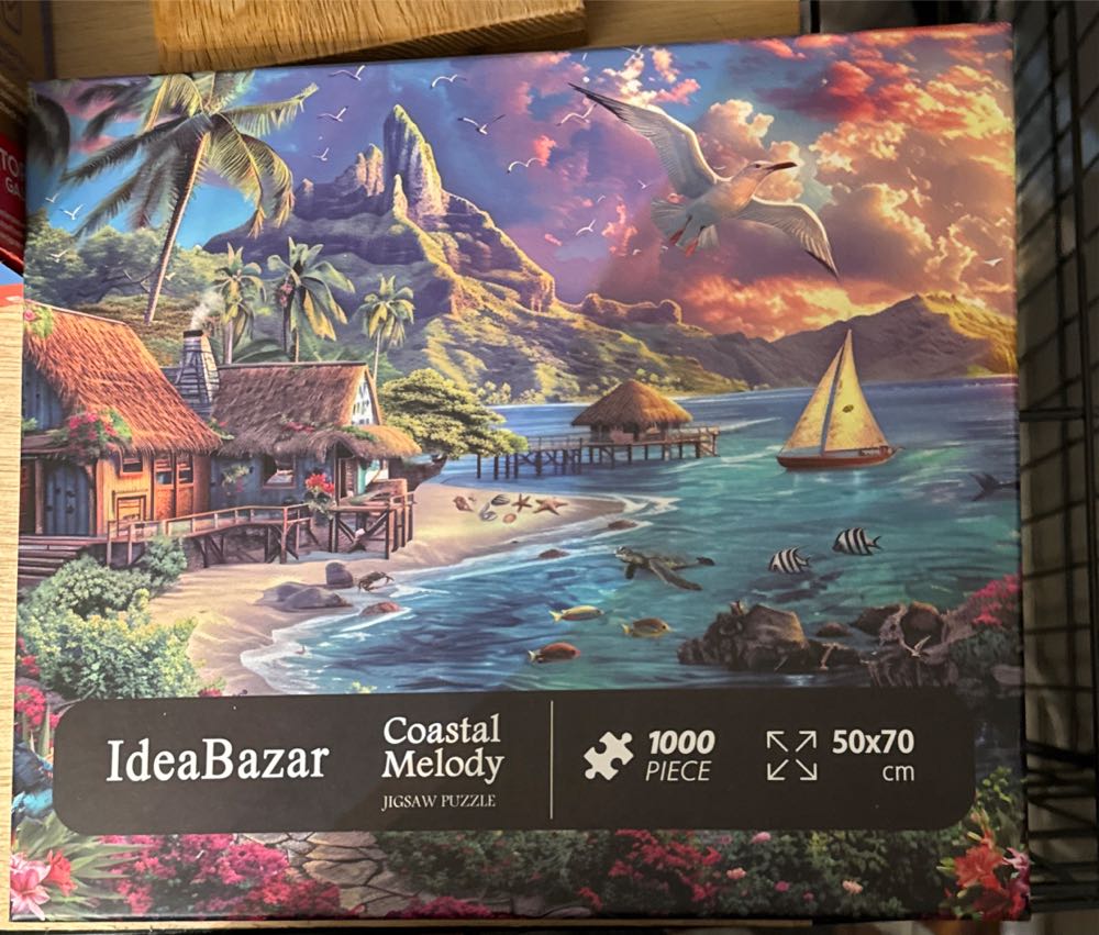 Skateboarden in de bowl