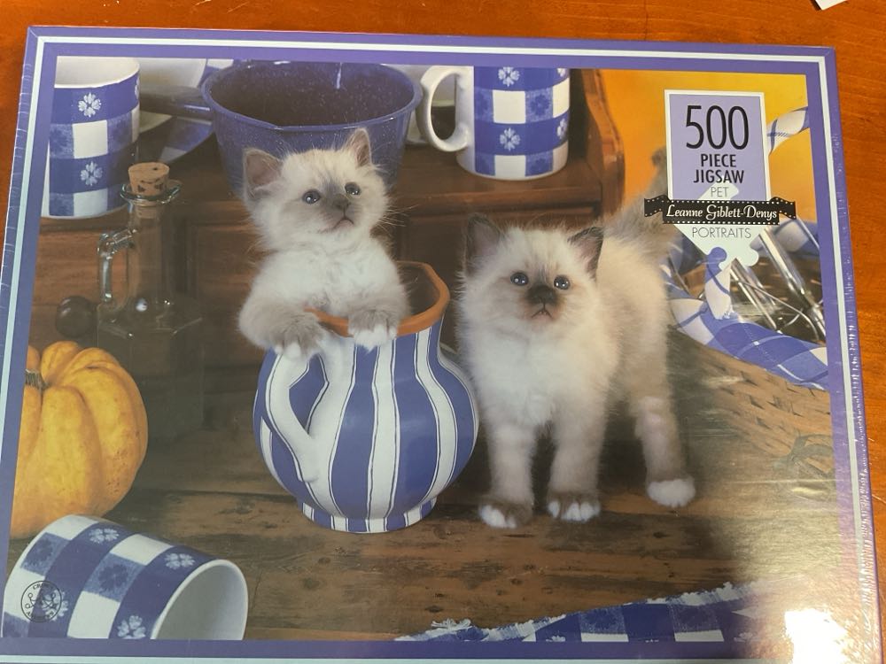 Imagination In Motion