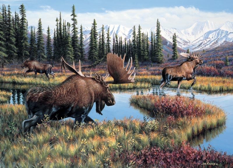 Mountain Paradise NIB  #1