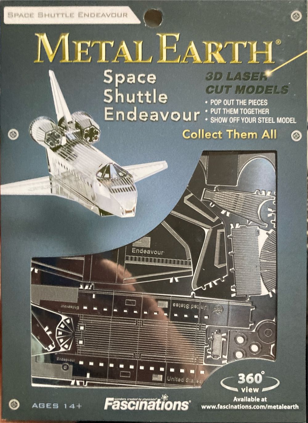 Orchid-Nature Art Forms