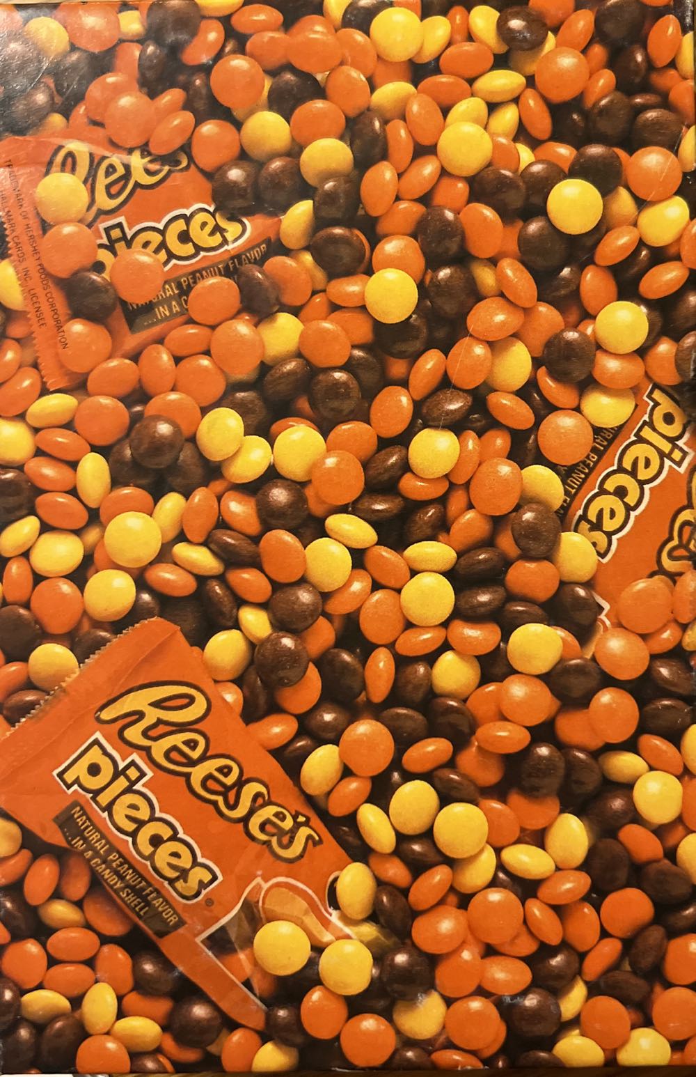 Sunsout I See You! 100pc Jigsaw Puzzle Complete