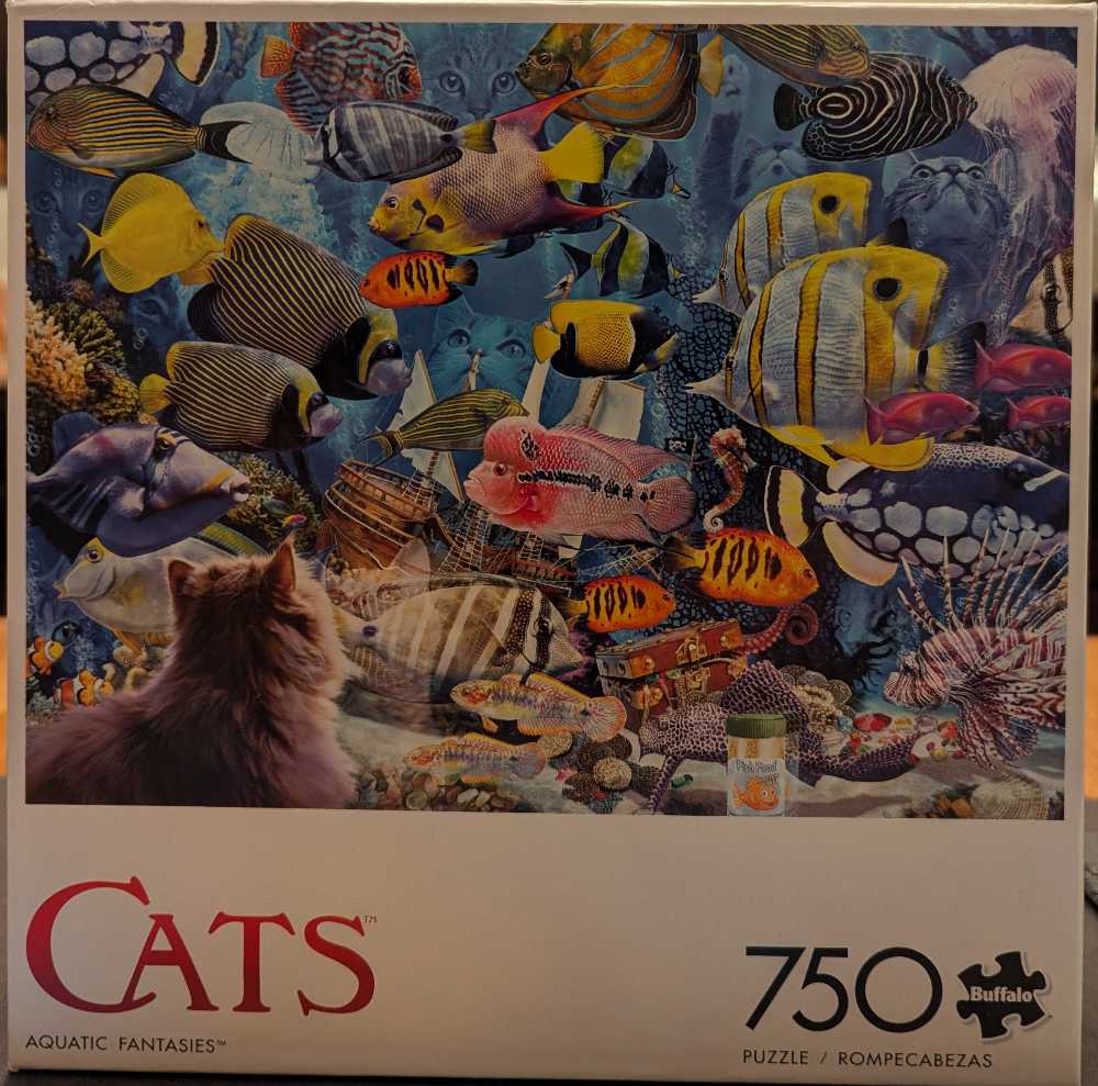 Flowerpot Cat’s Playtime