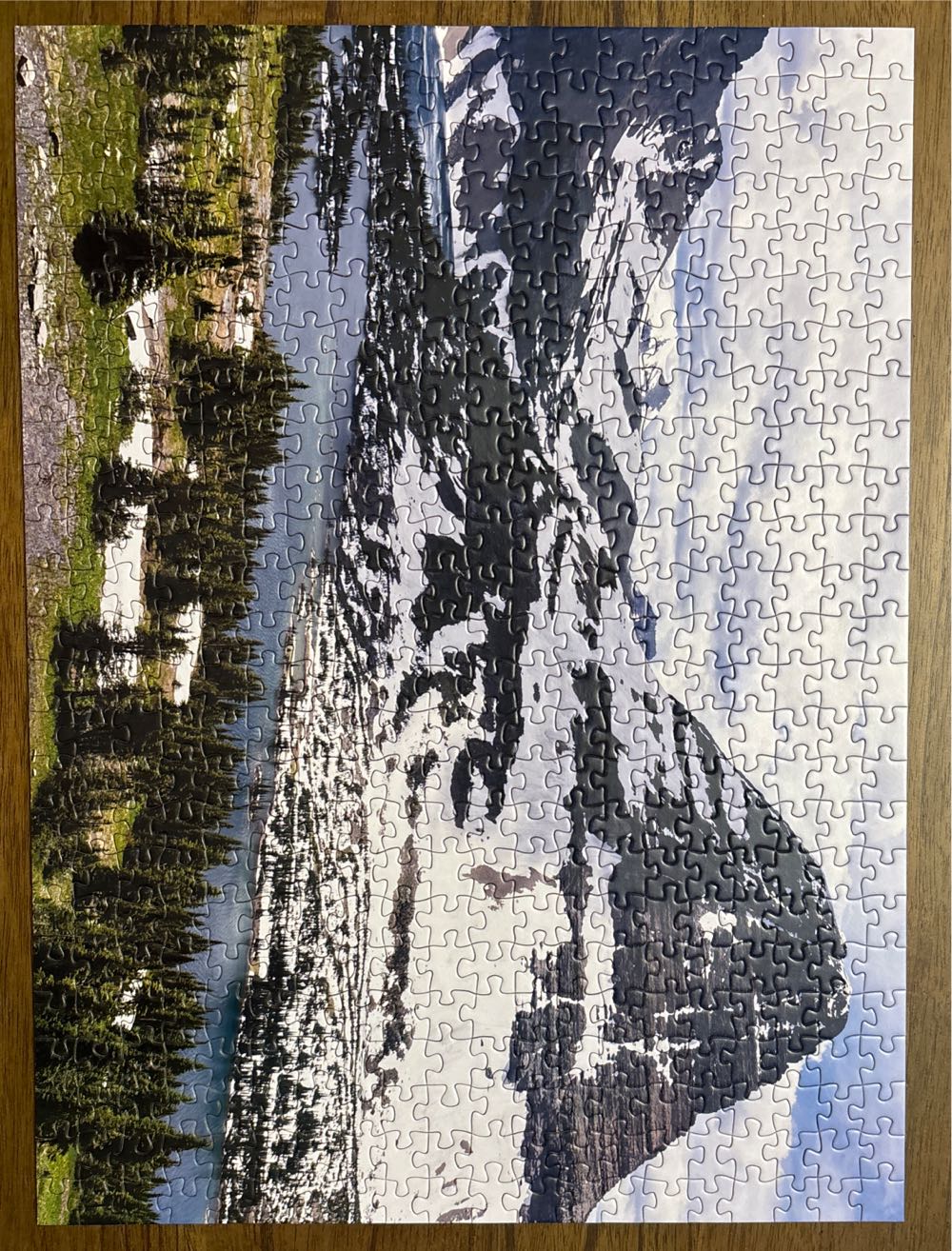 Winter Memories With Cardinal