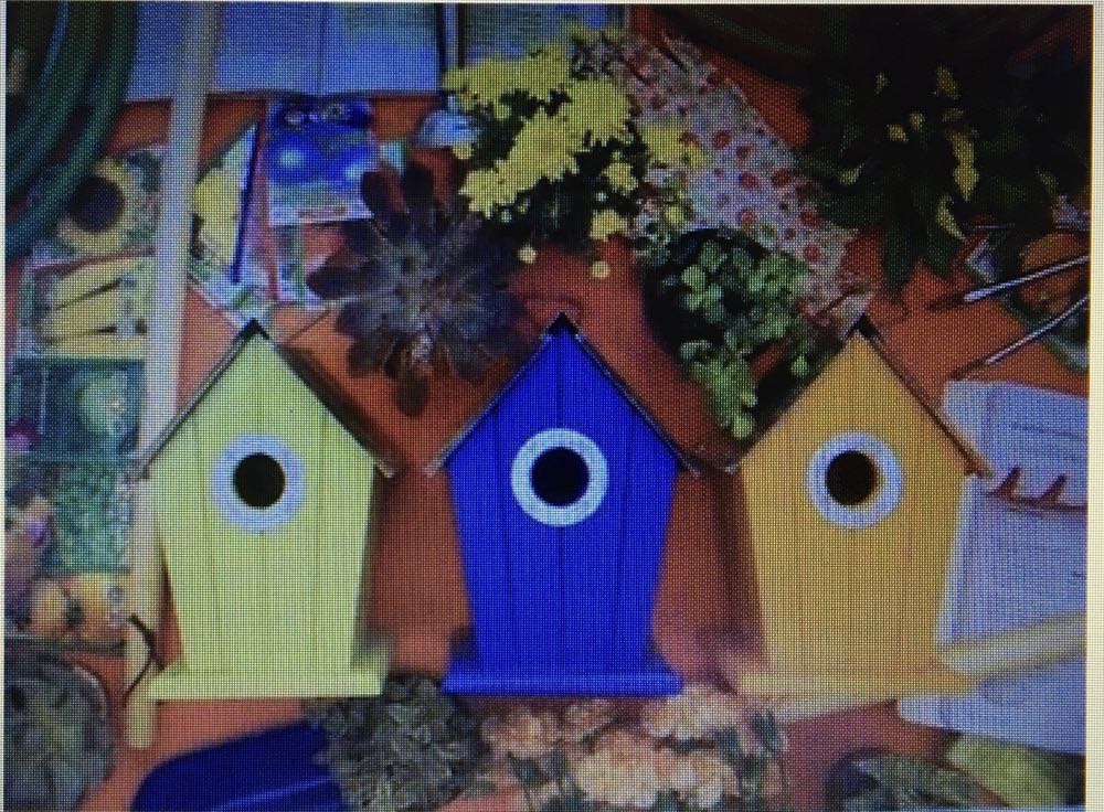 My Happy Place : Organic Fresh Market 🆕