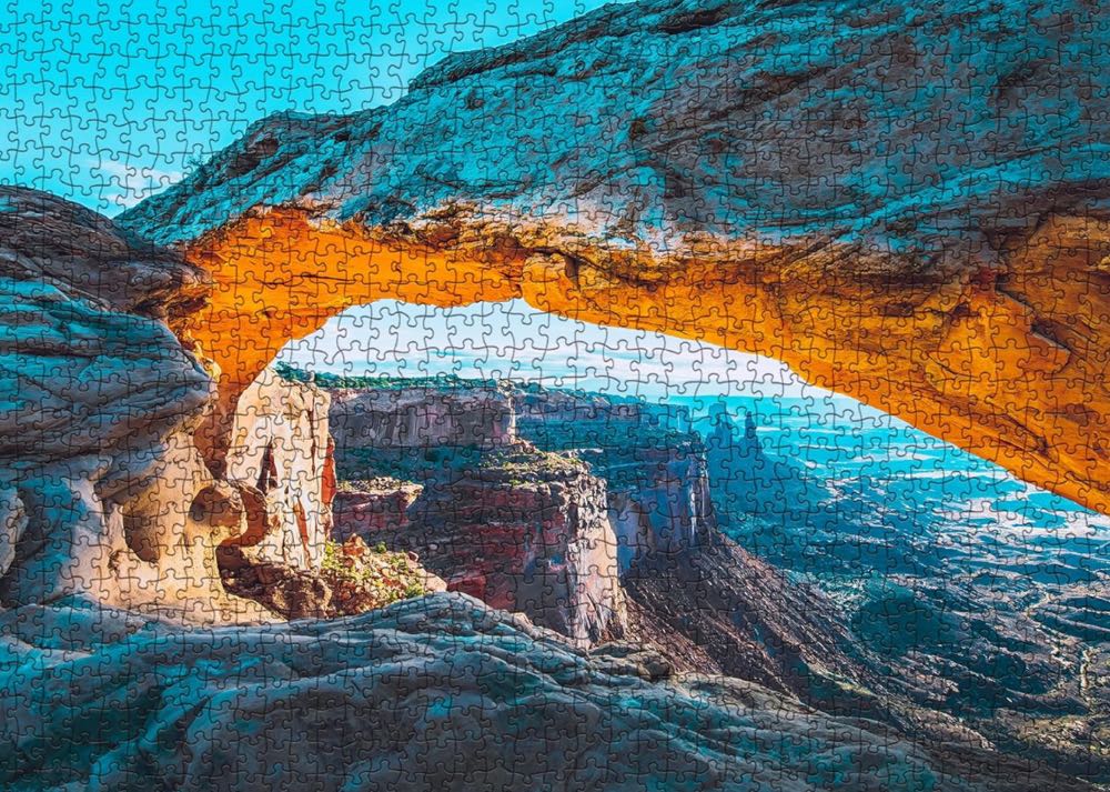 New York National Geographic Layers Of Life Piece