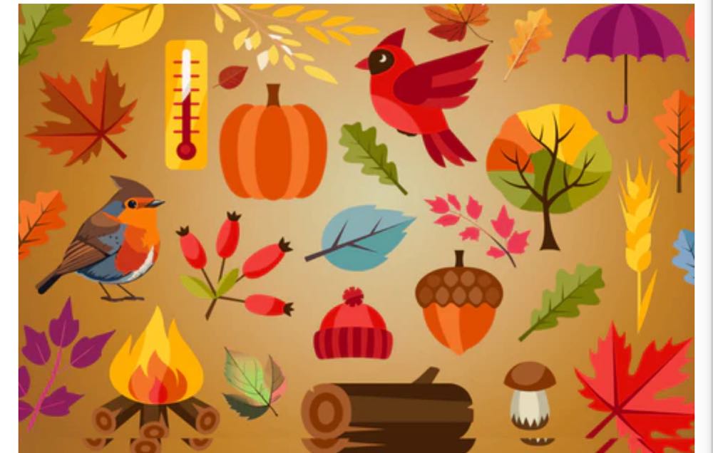 Wasgij Destiny #21 - Highway Hold-Up