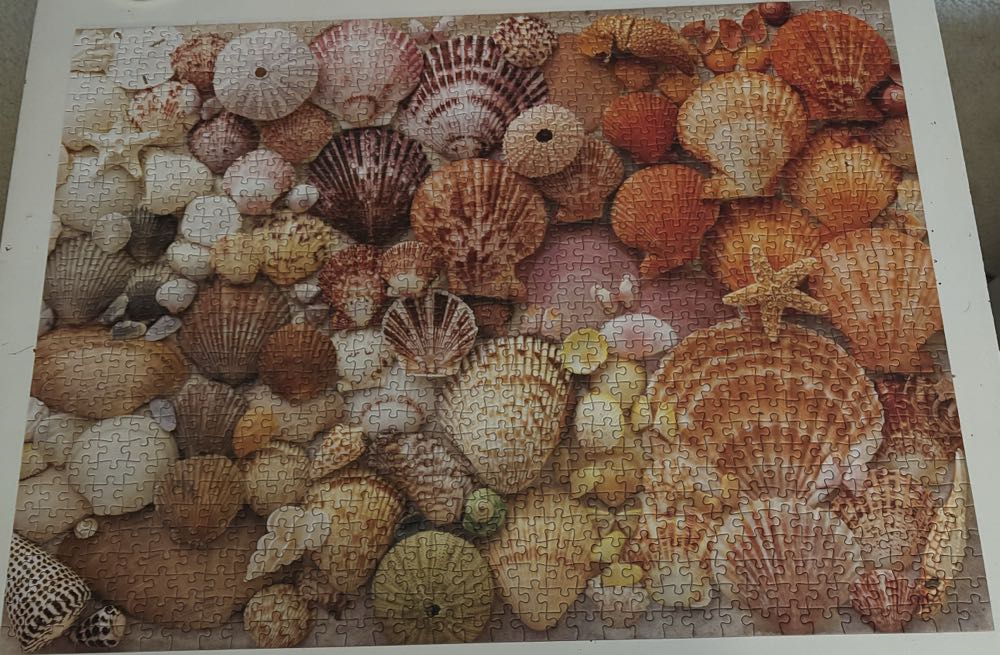 Vibrant Seashells - Galison puzzle collectible [Barcode 9780735380608] - Main Image 2