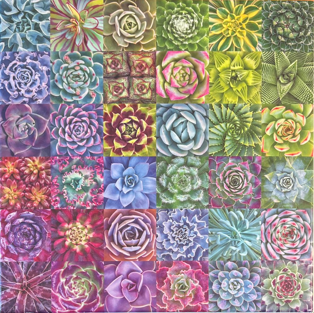 Airship Adventures 🆕