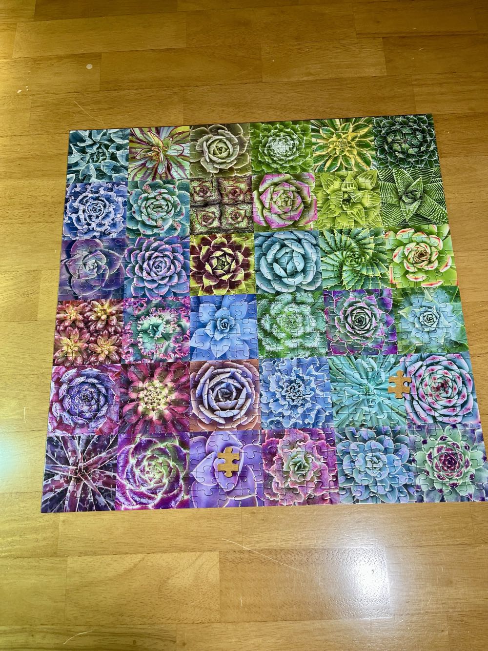 Succulent Spectrum - Galison puzzle collectible [Barcode 9780735363427] - Main Image 2