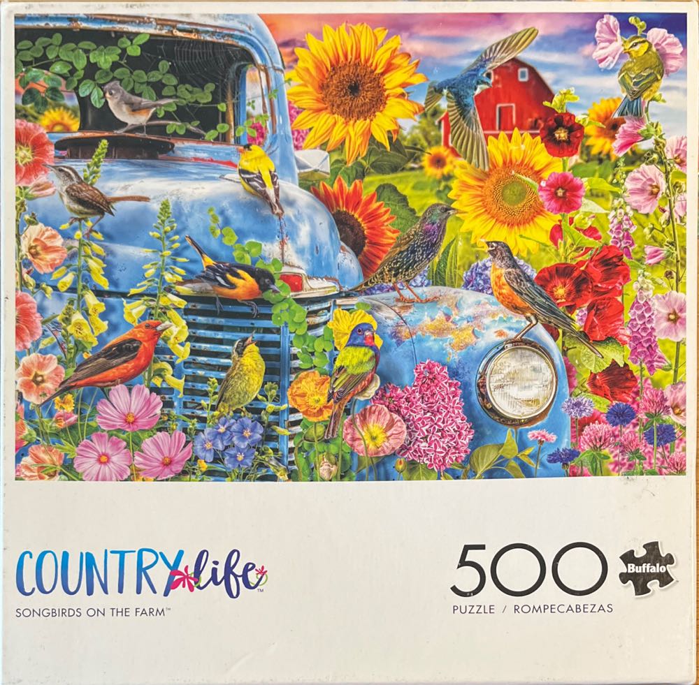 Youngsters In The Farmyard