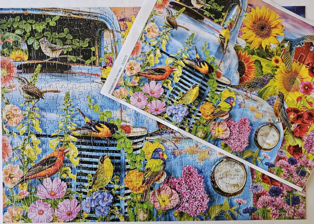 Songbirds On The Farm - Buffalo Games 🇺🇸 puzzle collectible [Barcode 079346332571] - Main Image 3