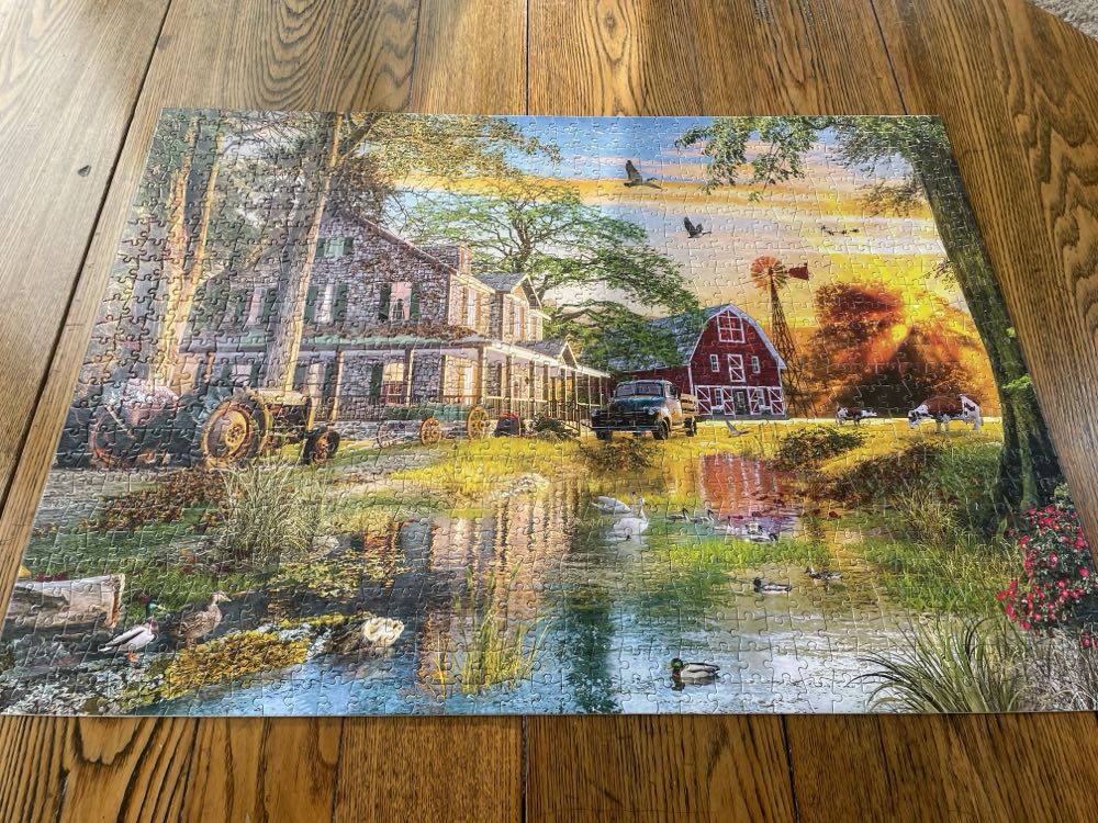 Welcome To Camp Paws