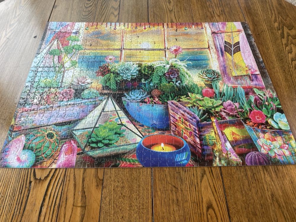 Dragonfly Dreams: Koi & Lilies Adventure