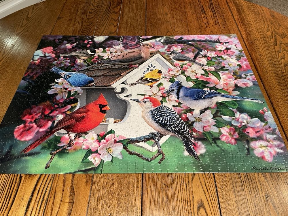 Salt Lake City (V)NFT