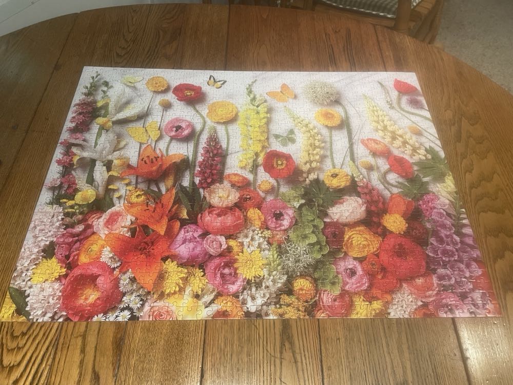 Wildlife Of Mount Rushmore