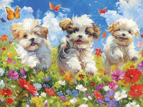 Lady With 350 Pièces La Dame à L’éventail Klimt Wilson L’eventail Gustav A : Michele