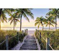 Magnificent Mandalas