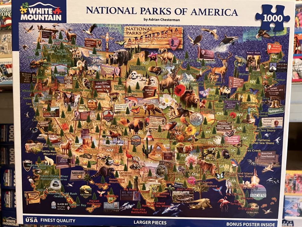 Flowerpot Cat’s Playtime