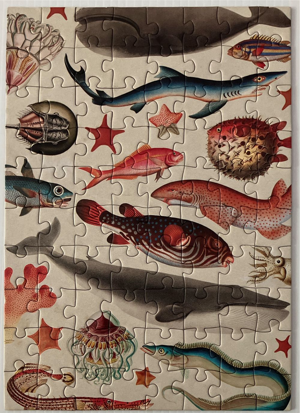 Vintage Nature Collection Advent - Reed puzzle collectible - Main Image 2