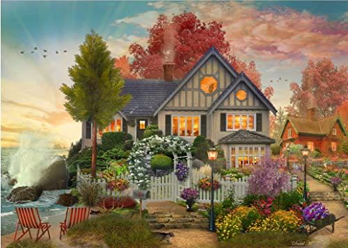 Library Bibliotheque