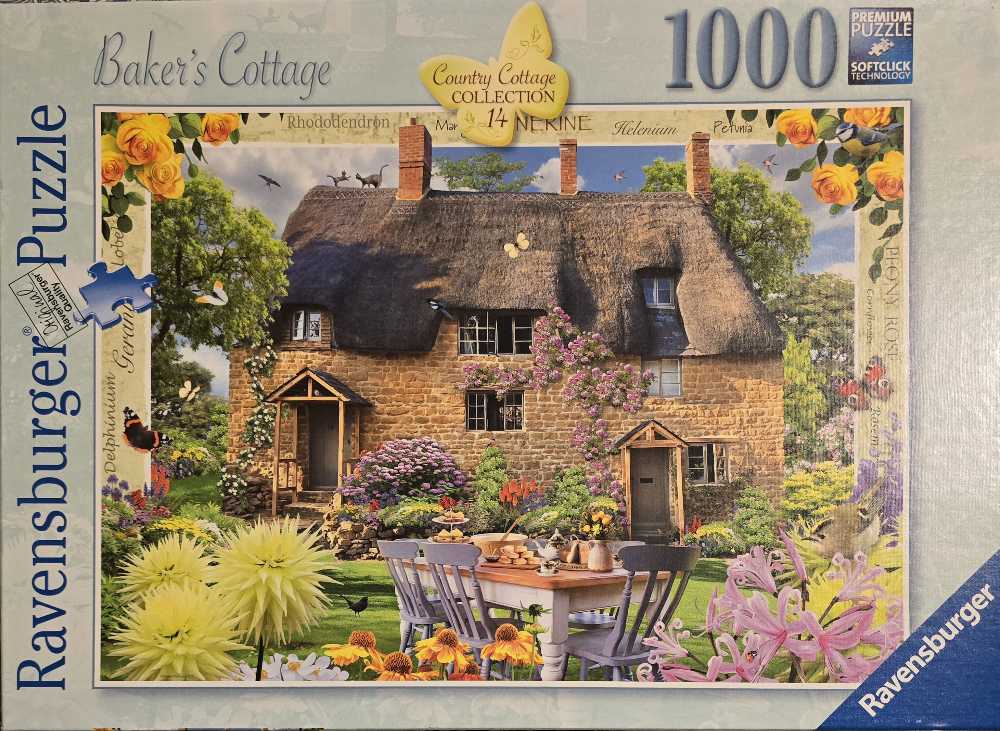 Memory Lane: Autumn Leaves And Laughter