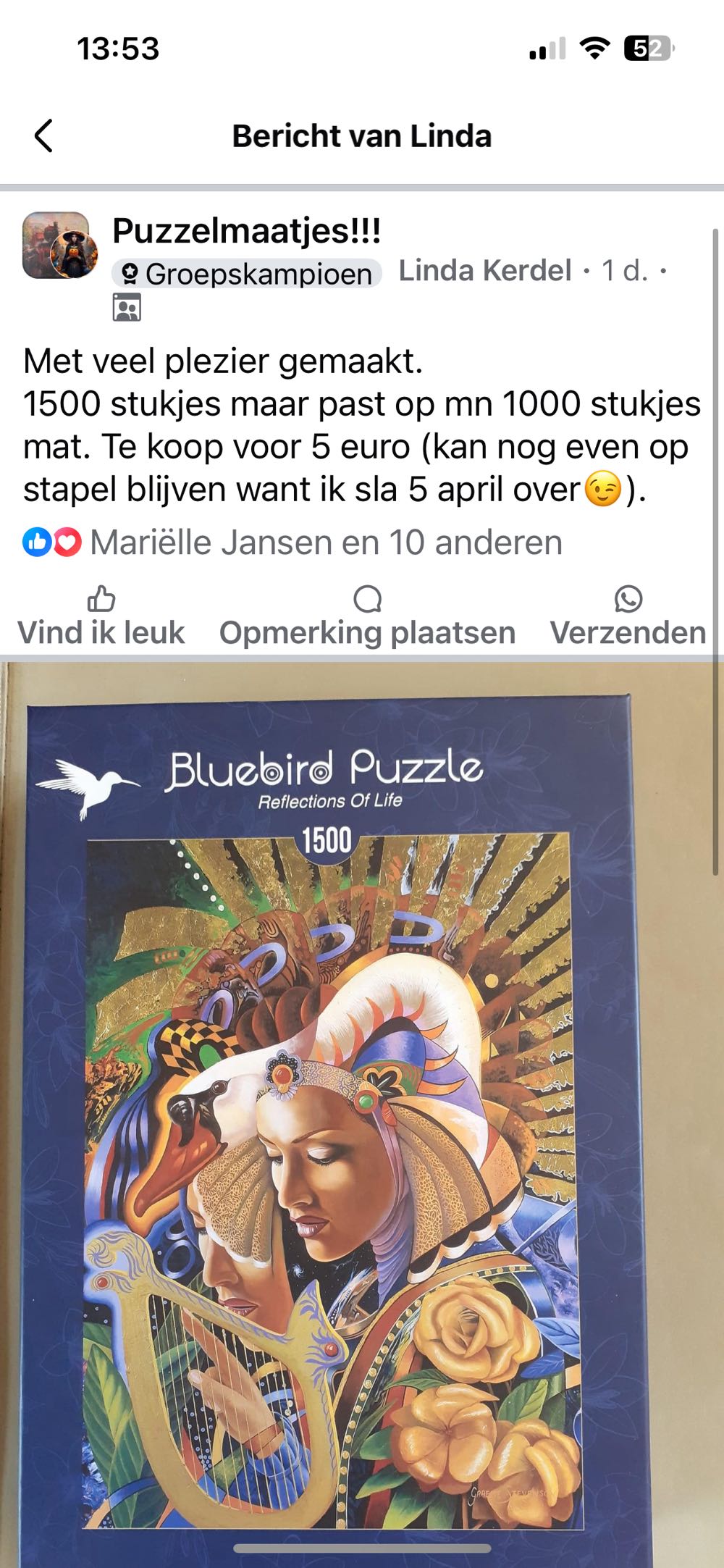 Reflections Of Life - Bluebird Puzzle puzzle collectible [Barcode 3663384701023] - Main Image 4