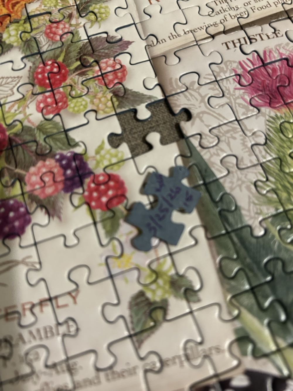 Butterfly Splendor - Wonder Forge puzzle collectible [Barcode 4050368100504] - Main Image 3