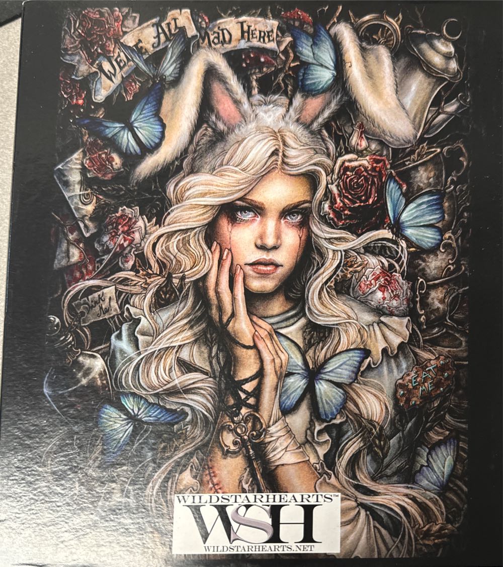 Piece Jigsaw Holdson Wasgij Destiny