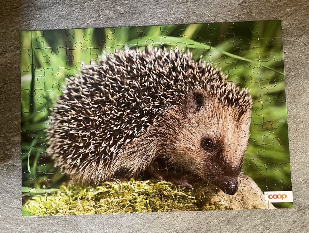 12 Days of Christmas Advent Puzzle