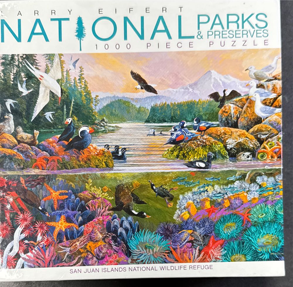 Evening At The Barnyard