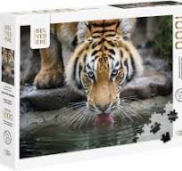 The Simpsons Puzzleball