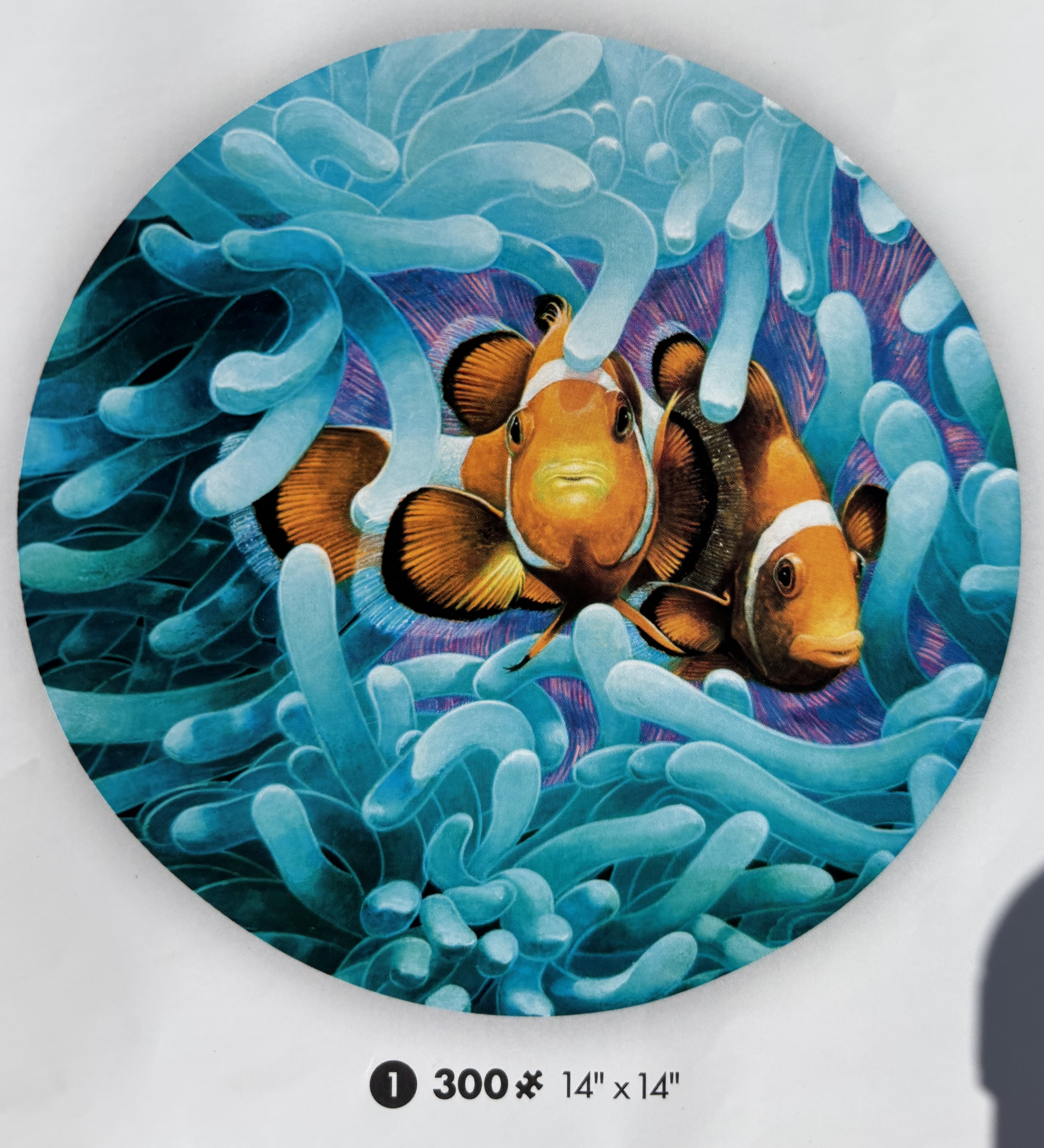 Seaside #1 - Ceaco puzzle collectible - Main Image 2