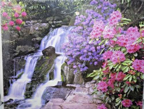 Kerst Met De Meilandjes