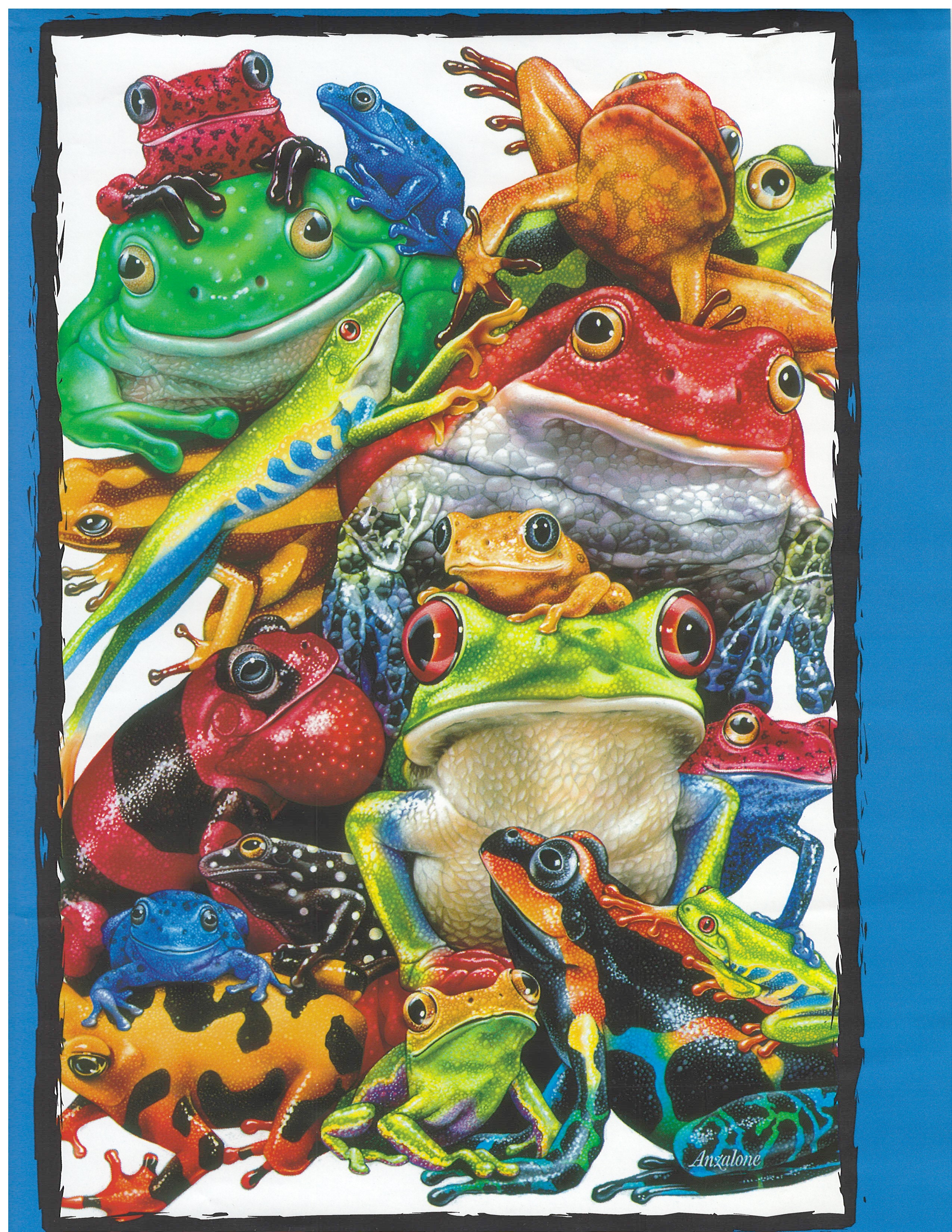Frog Business  puzzle collectible - Main Image 2